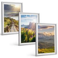 BILDER SET 3er Set - 40x60 cm Silberner Rahmen - Berglandschaft mit Blumen - Silberfarben, Kunststoff (40/60cm) - TULUP