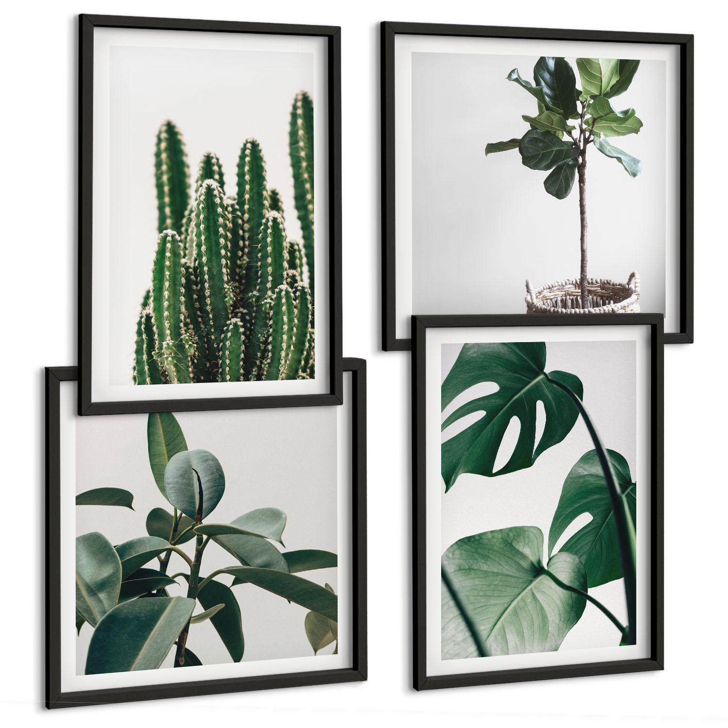BILDER SET 4er Set - 50x50 cm & 40x60 cm Schwarzer Rahmen - Ästhetik tropischer Pflanzen - Schwarz, Kunststoff (50/50cm) - TULUP