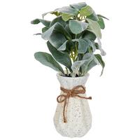 KÜNSTLICHE Topfpflanze 30 cm Grün/Schwarz Peperomia Argyreia - Schwarz/Grün, Kunststoff (30cm) - Beliani