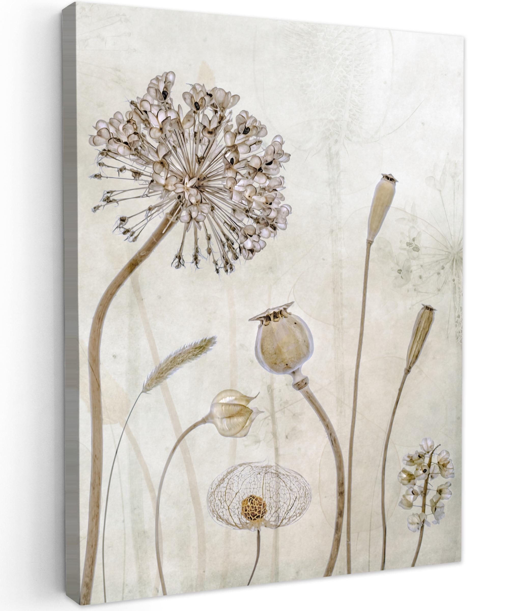LEINWANDBILD Blumen - Aquarell - Stilleben - Braun - Vintage Wandbild Wohnzimmer 60x80 cm - Beige, Textil (60/80cm) - MuchoWow