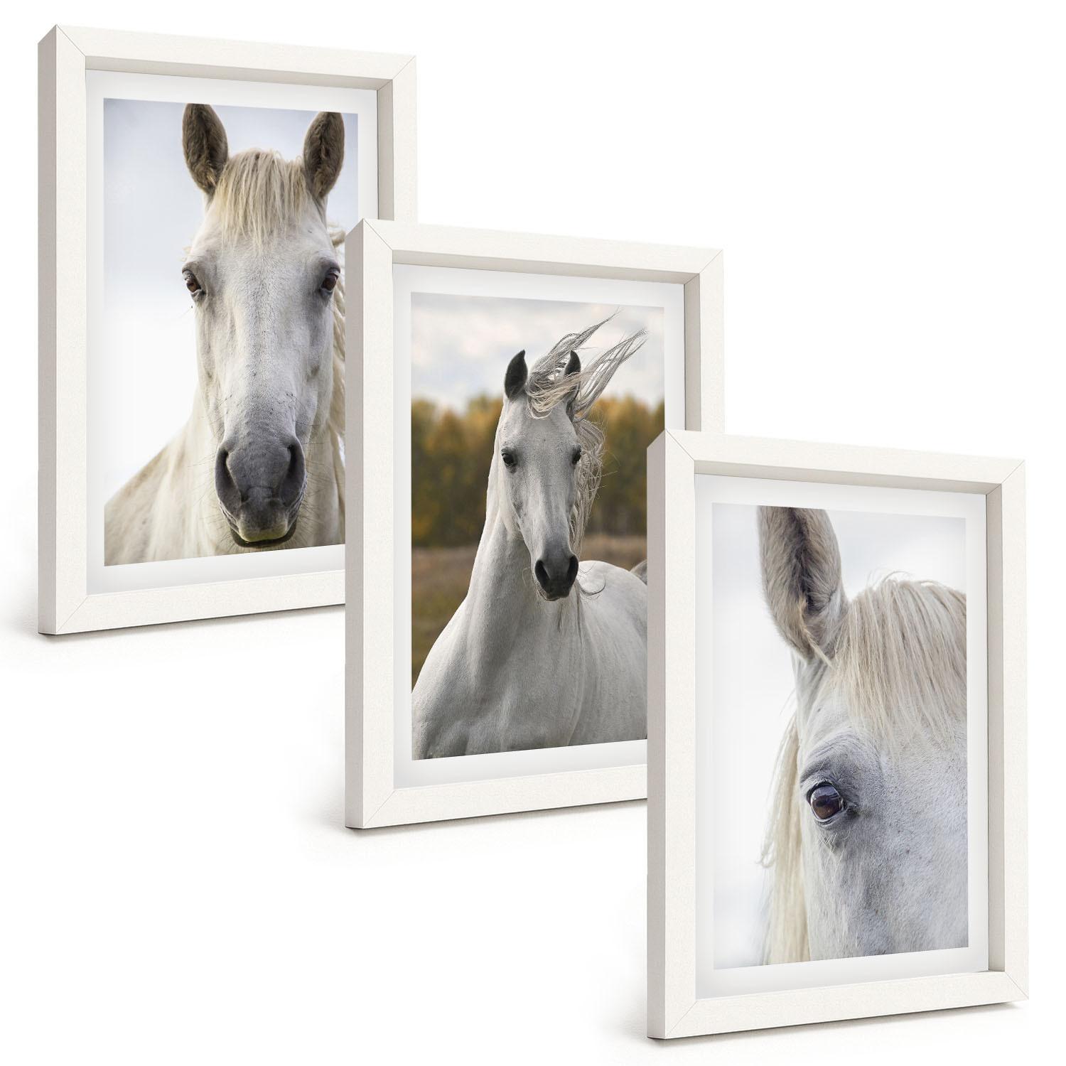 BILDER SET 3er Set - 20x30 cm Weißer Rahmen - Weiße Pferde in der Natur - Weiß, Kunststoff (20/30cm) - TULUP