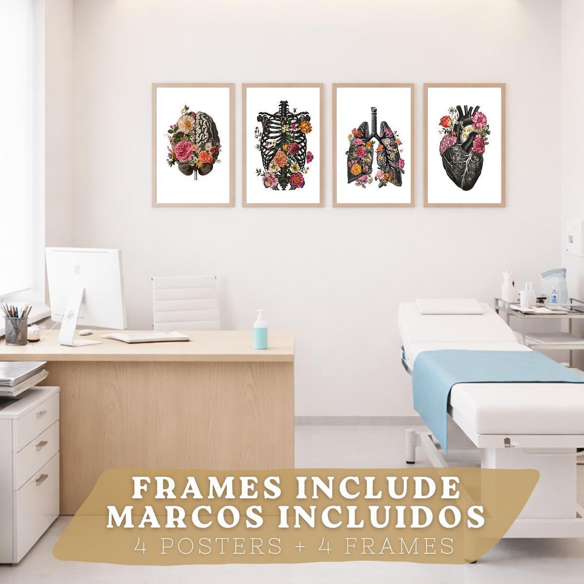 POSTER Set aus 4 Anatomie Drucke und Dekorative mit Gehirn Herz Lungen Atmungssystem Rippen Wirbelsäule Modernes Florales Größe Leichter Holzrahmen A4 - Beige, Papier (21/29.7/3cm) - Nacnic