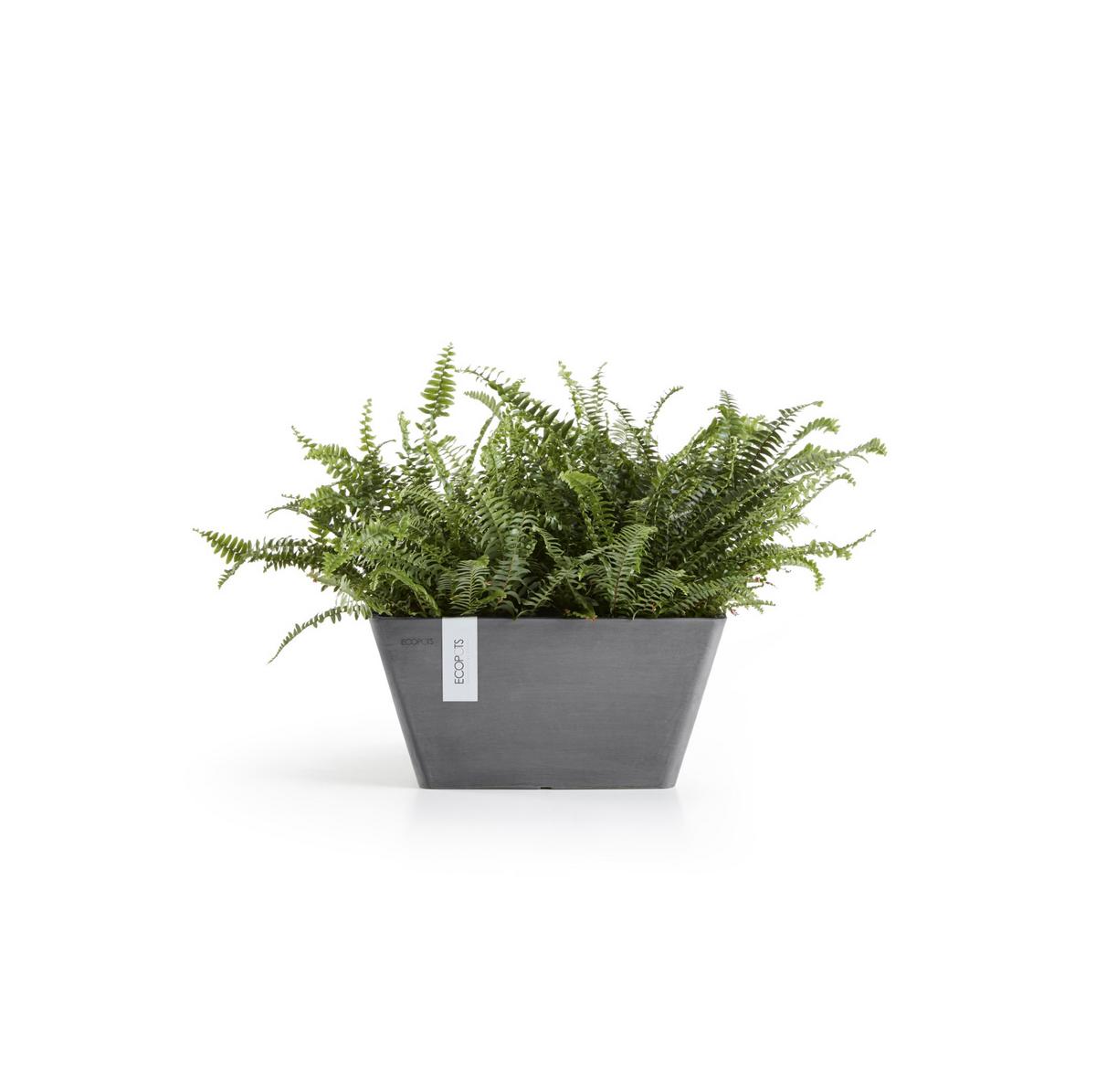 BLUMENTOPF Berlin 25,5/25,5/13 cm Grau - Grau, Kunststoff (25.5/13cm) - Ecopots