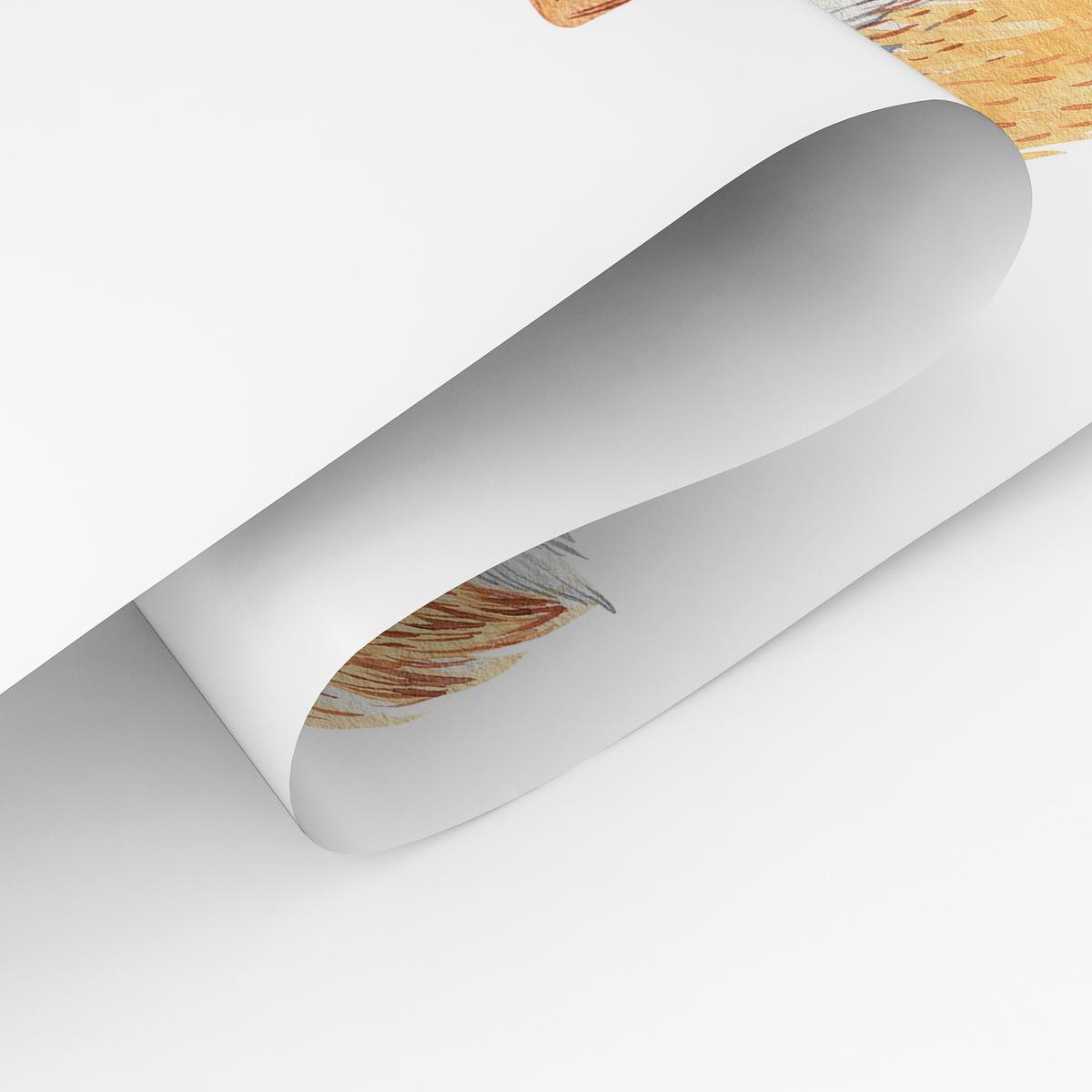 POSTER SET ohne Rahmen für Kinderzimmer WALDTIERE Fuchs Waschbär Reh A3 30x42cm - Beige/Orange, Papier (30/42/1cm) - Muralo