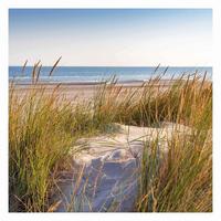 FOTOTAPETE Stranddüne am Meer 288/288 cm - Eichefarben, Papier (288/288cm) - Bilderwelten