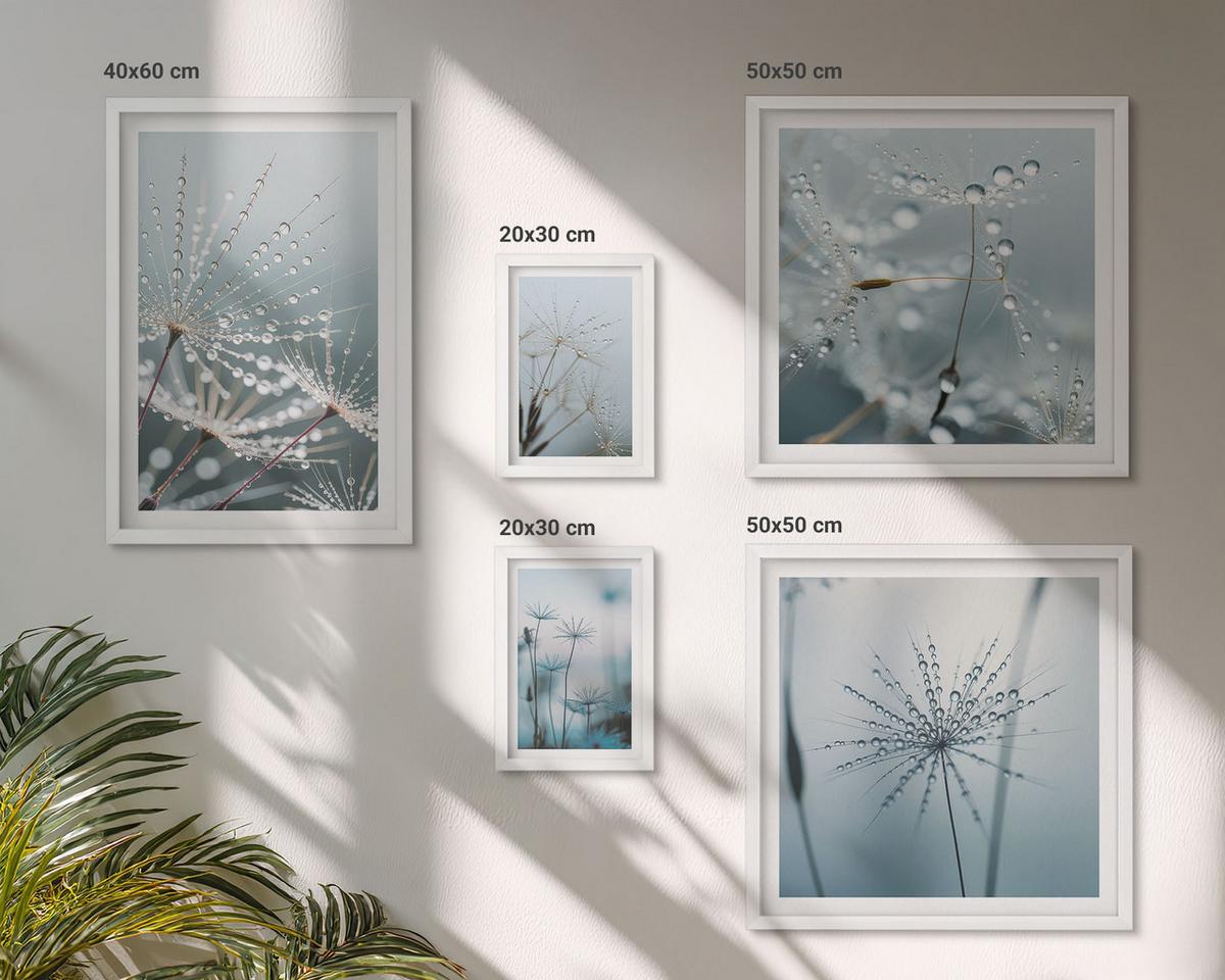 BILDER SET 5er Set - 50x50 cm & 20x30 cm & 40x60 cm Weißer Rahmen - Tautropfen auf Löwenzahn - Weiß, Kunststoff (40/60cm) - TULUP