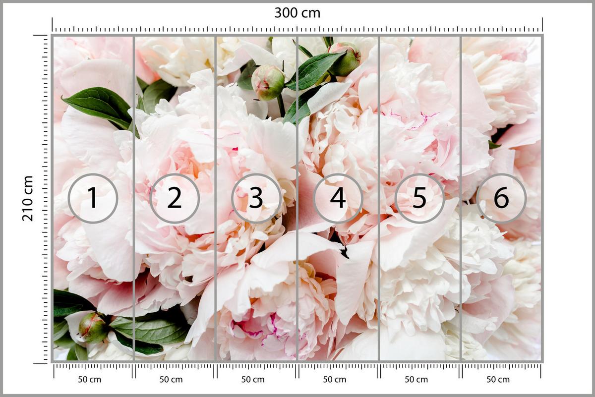 FOTOTAPETE für Schlafzimmer Rosa Zarte Pfingstrosen Natur 300x210 - Rosa/Weiß, Papier (300/210cm) - Muralo
