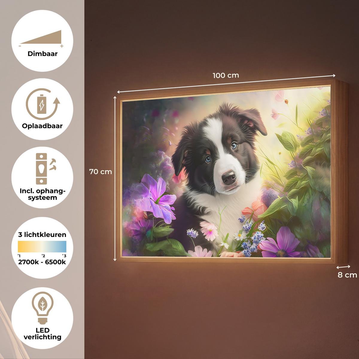 WANDLEUCHTE MIT AKKU Welpe - Sonne - Blumen - Natur - Border Collie - Hund 100x70 cm - Violett, Holzwerkstoff (100/70/8cm) - OnlyWow