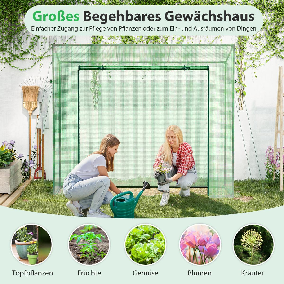 GEWÄCHSHAUS Grün - Grün, Metall (200/169/77cm) - COSTWAY