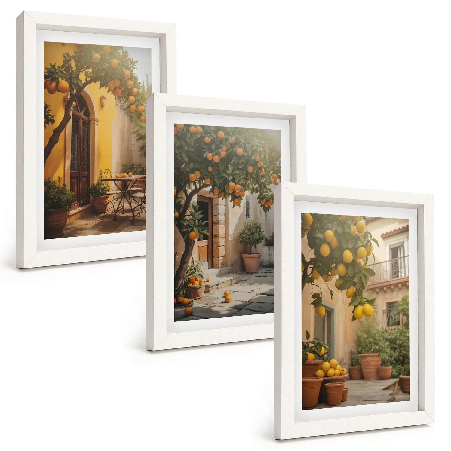 BILDER SET 3er Set - 20x30 cm Weißer Rahmen - Zitrustöpfe für sonnige Terrassen - Weiß, Kunststoff (20/30cm) - TULUP
