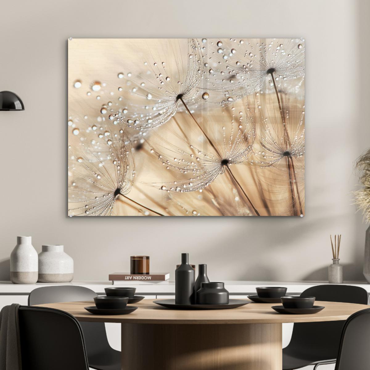 ACRYLGLASBILD Löwenzahn - Abstrakt - Natur - Beige 80x60 cm - Braun, Glas (80/60cm) - MuchoWow