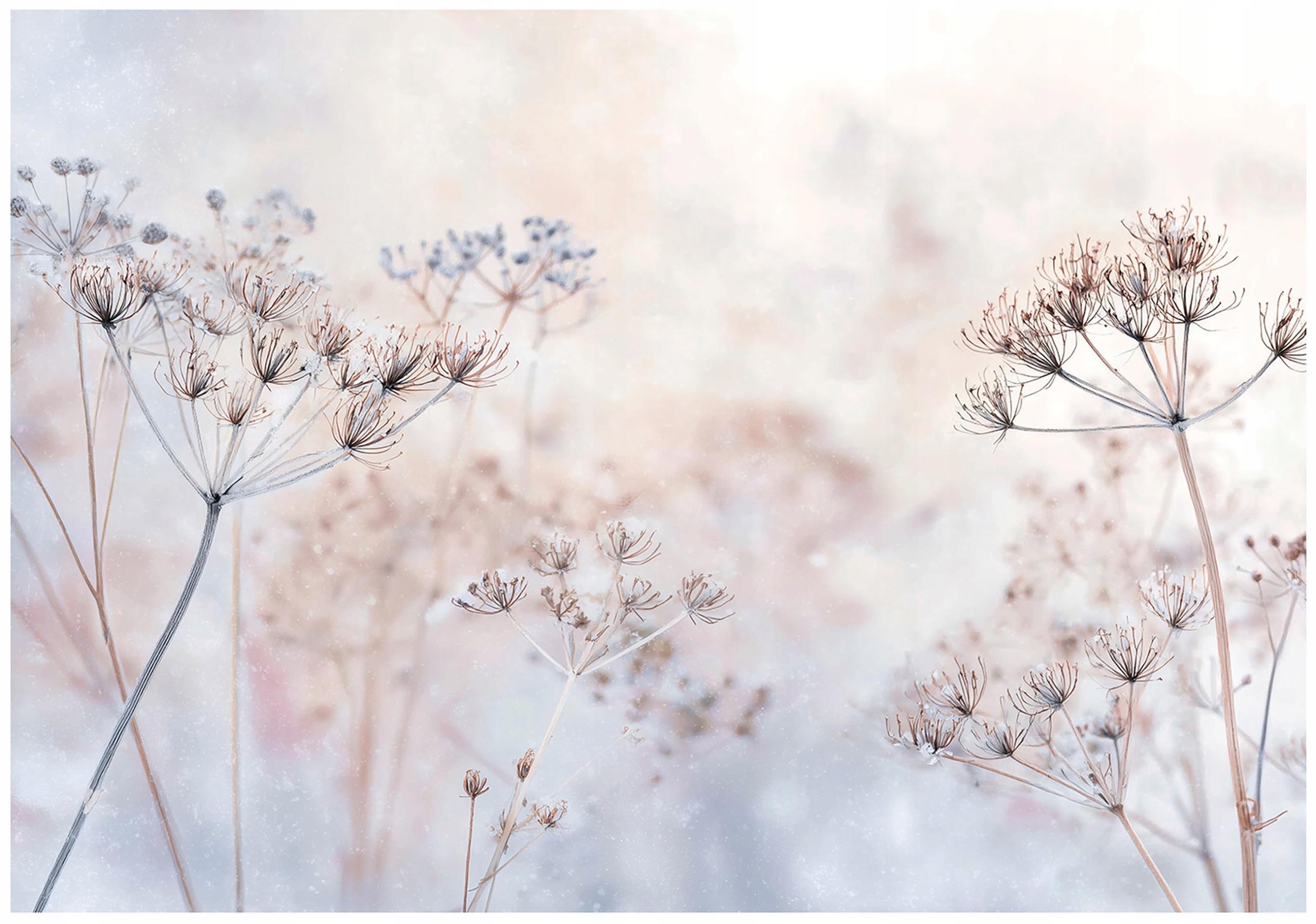 FOTOTAPETE Blumen Pusteblumen Beige 350x250 cm - Multicolor, Papier (350/250cm) - Wallarena