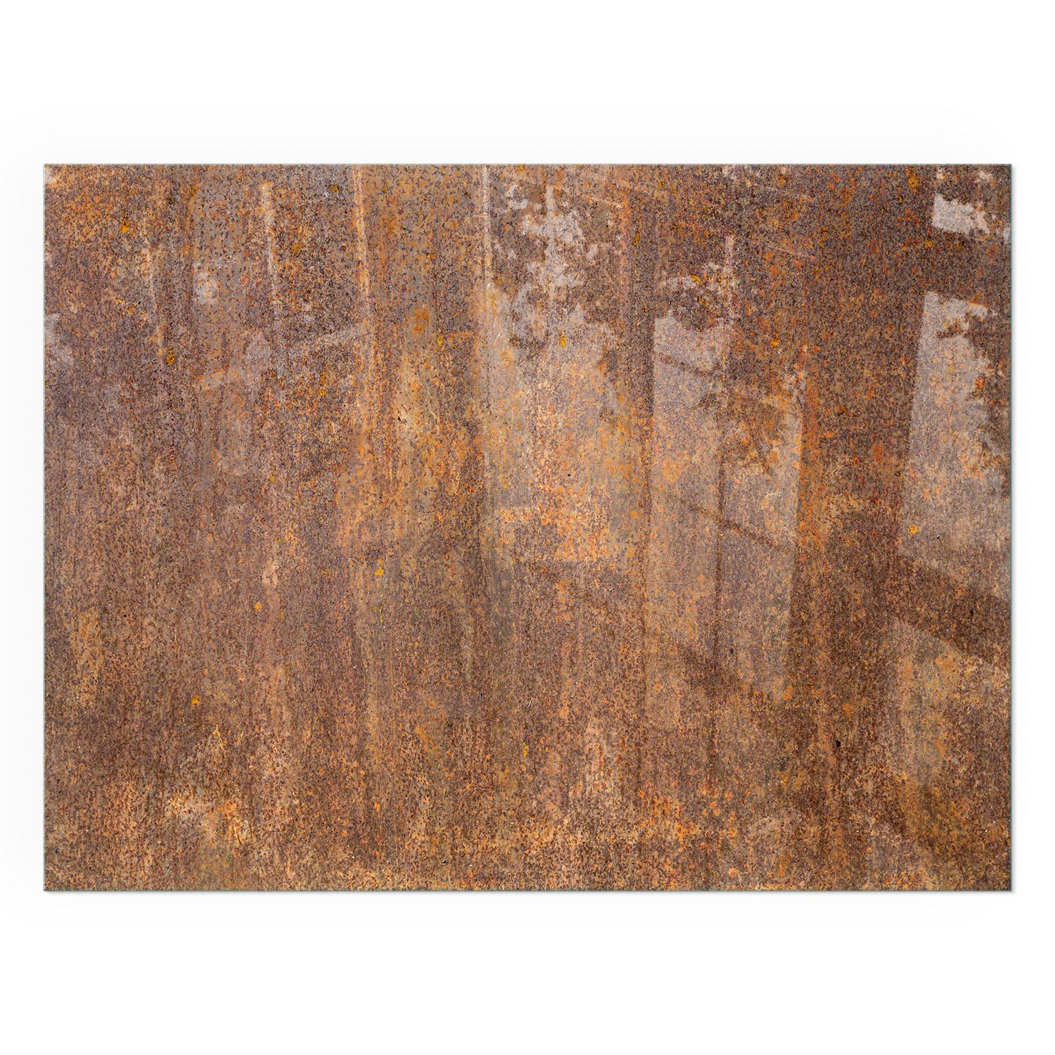 GLASPLATTE für Kamin 80x60 cm - Braun, Glas (80/60/0.4cm) - TULUP