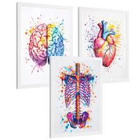 POSTER Set aus 3 Anatomie Mensch Drucke und Wandbilder mit Gehirn Herz Rippen Wirbelsäule Lebendiges Aquarell Design Größe Weißer Rahmen A4 - Weiß, Papier (21/29.7/3cm) - Nacnic