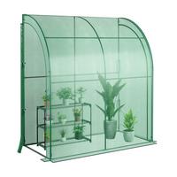 FOLIENGEWACHSHAUS mit Blumenregal Grün - Grün, Kunststoff (199/215/98cm) - COSTWAY