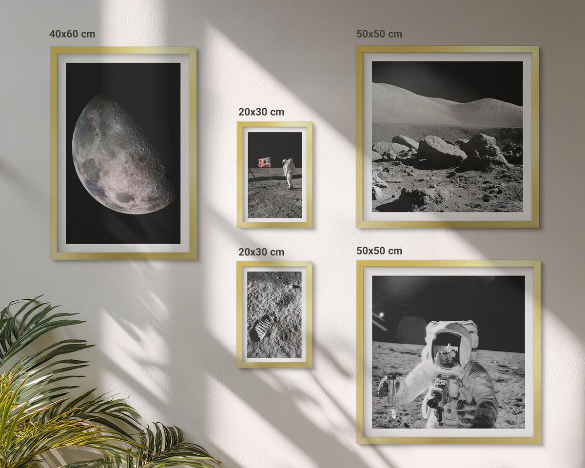 BILDER SET 5er Set - 50x50 cm & 20x30 cm & 40x60 cm Goldrahmen - Gemälde von Zitronenbäumen - Goldfarben, Kunststoff (40/60cm) - TULUP