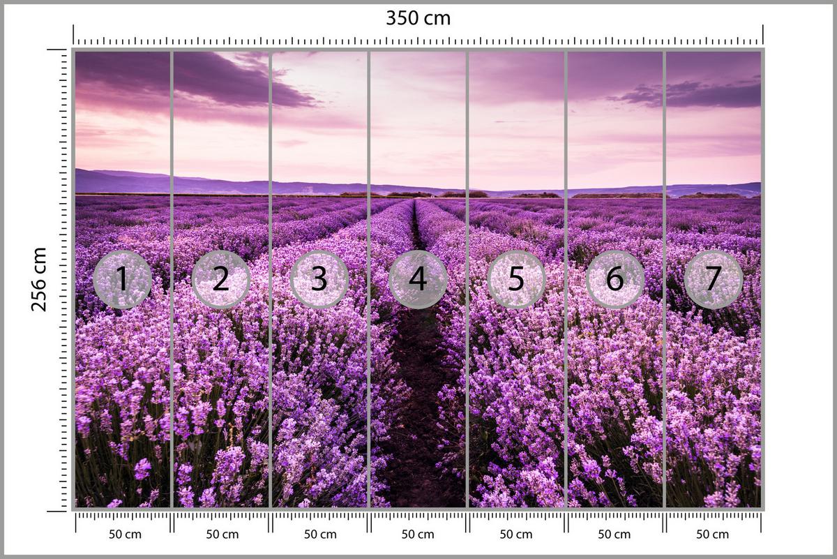 FOTOTAPETE für Schlafzimmer Lila Lavendel Wiese Harmonisch Romantisch 350x256 - Violett/Lila, Papier (350/256cm) - Muralo