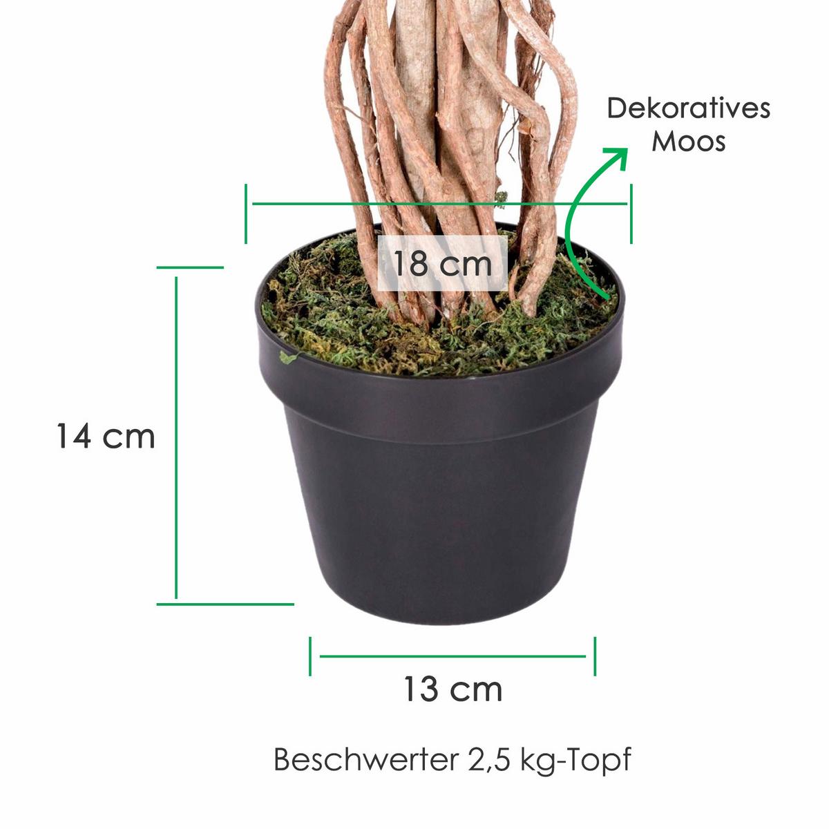 KUNSTBAUM Ficus benjamini, 120 cm - Multicolor, Kunststoff (120cm) - Homescapes