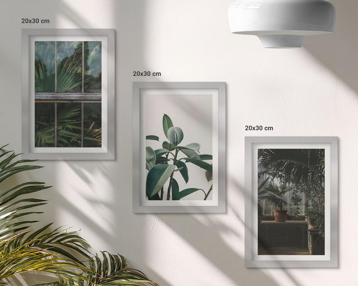 BILDER SET 3er Set - 20x30 cm Silberner Rahmen - Grüne Blätter an der Fensterpflanze - Silberfarben, Kunststoff (20/30cm) - TULUP