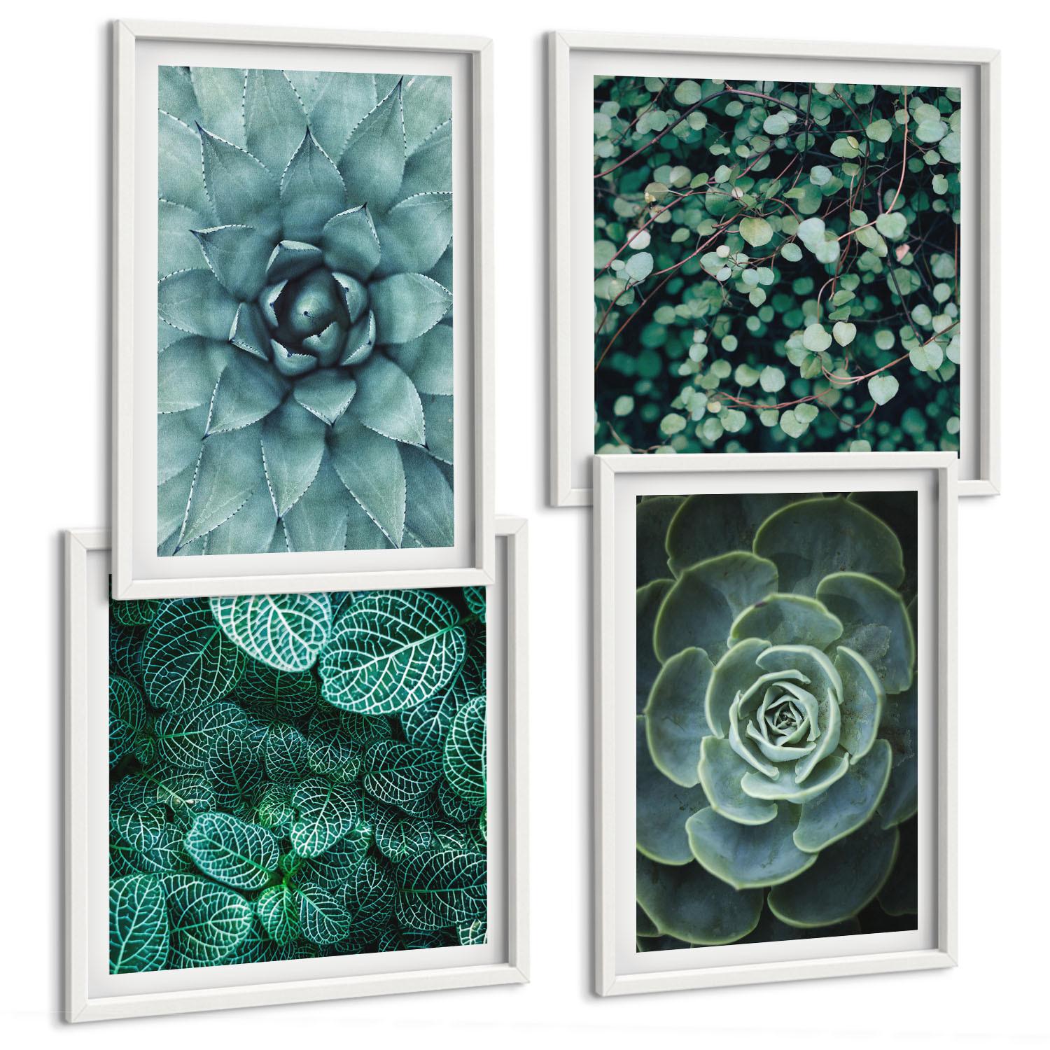 BILDER SET 4er Set - 50x50 cm & 40x60 cm Weißer Rahmen - Sukkulenten in Grün und Türkis - Weiß, Kunststoff (50/50cm) - TULUP
