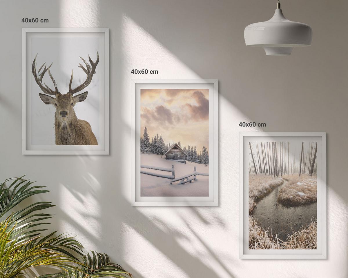 BILDER SET 3er Set - 40x60 cm Weißer Rahmen - Hirschhütte in Winterlandschaft - Weiß, Kunststoff (40/60cm) - TULUP