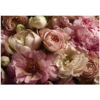 FOTOTAPETE Blumen Pfingstrosen Rosa 150x105 cm - Multicolor, Papier (150/105cm) - Wallarena