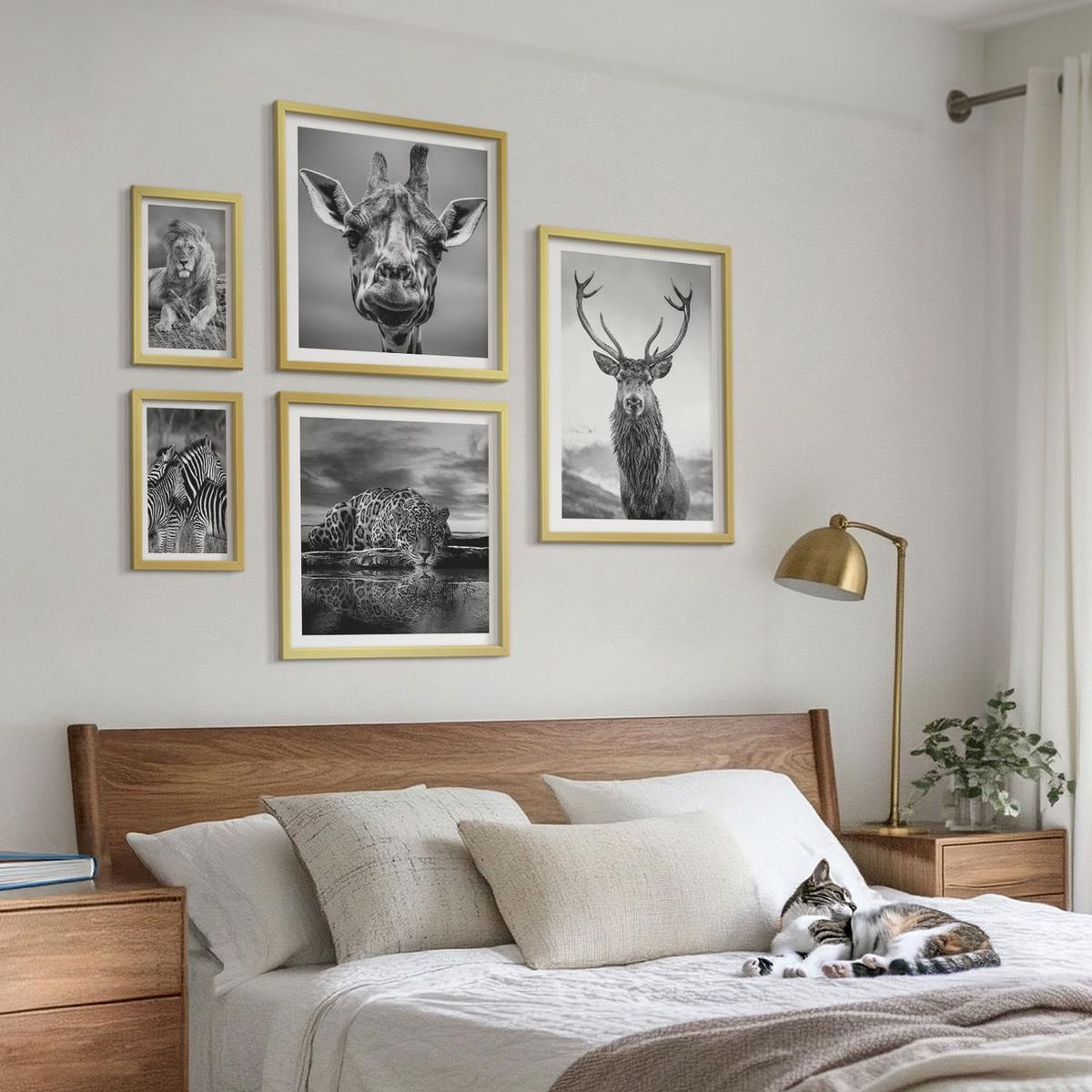BILDER SET 5er Set - 50x50 cm & 20x30 cm & 40x60 cm Goldrahmen - Wildtiere Löwe Jaguar Giraffe Zebras - Goldfarben, Kunststoff (40/60cm) - TULUP