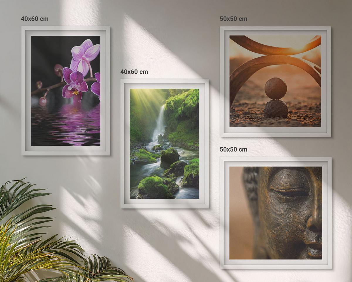 BILDER SET 4er Set - 50x50 cm & 40x60 cm Weißer Rahmen - Blumen im Wasser des Buddha-Wasserfalls - Weiß, Kunststoff (50/50cm) - TULUP