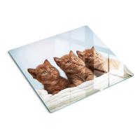 GLASPLATTE 60x52 cm Kätzchenhandtuch - Mokka, Glas (60/52cm) - TULUP