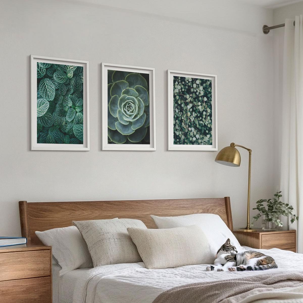 BILDER SET 3er Set - 40x60 cm Weißer Rahmen - Sukkulenten - Weiß, Kunststoff (40/60cm) - TULUP