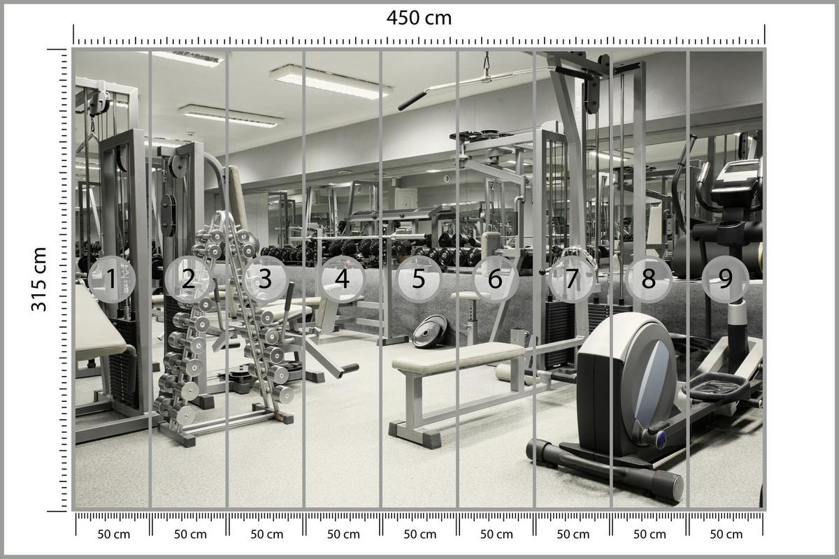 FOTOTAPETE Fitnessstudio Innenraum Equipment Modern Sport 450x315 - Ecru/Creme, Papier (450/315cm) - Muralo