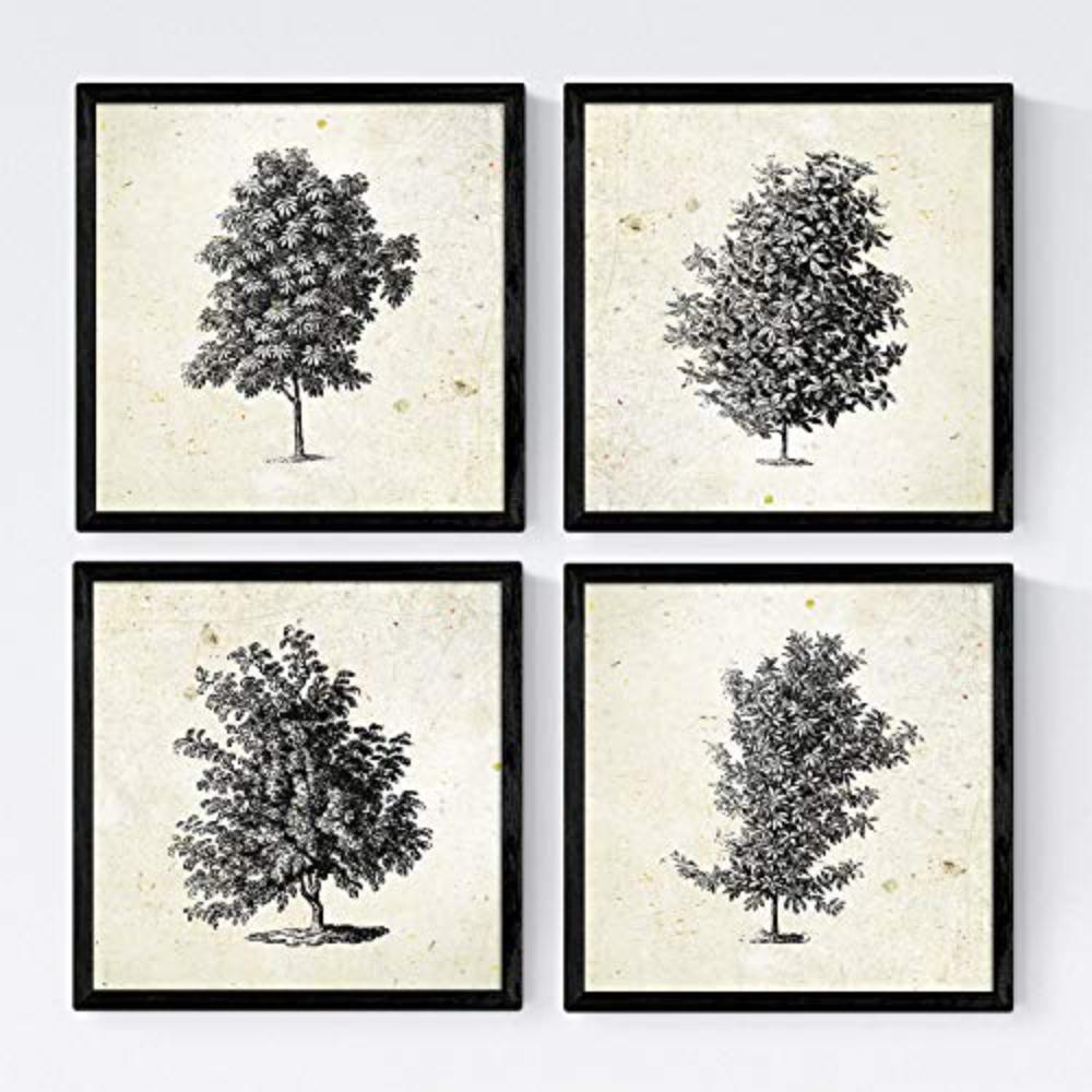 POSTER Set mit 4 Bädern Bäume miese Zweige Weinlese Altpapierhintergrund 30x30 cm Schwarzer Rahmen - Schwarz, Papier (30/3cm) - Nacnic