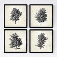 POSTER Set mit 4 Bädern Bäume miese Zweige Weinlese Altpapierhintergrund 30x30 cm Schwarzer Rahmen - Schwarz, Papier (30/3cm) - Nacnic