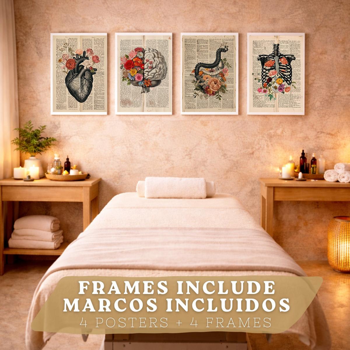 POSTER Set aus 4 Anatomie Drucke und Wandbilder mit Herz Gehirn Skelett und Darm Antiker Hintergrund Wanddekoration Größe Weißer Rahmen A3 - Weiß, Papier (29.7/42/3cm) - Nacnic