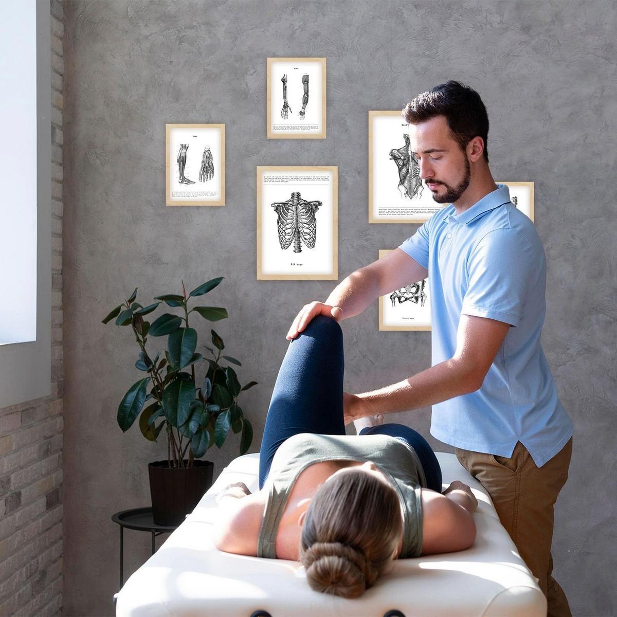 POSTER Set Mit 6 Anatomie Sammlung Von Platten Größe A3 und A4 Rahmenlos - Klar, Papier (29.7/1cm) - Nacnic