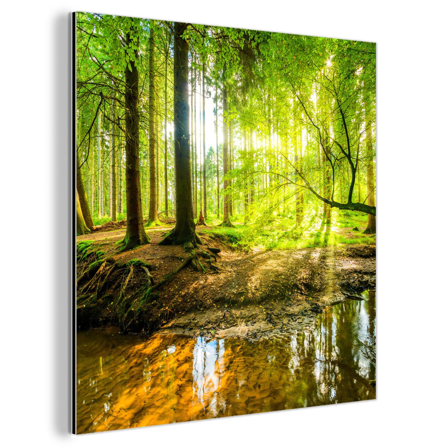 METALLBILD Wald - Landschaft - Wasser - Bäume - Sonne - Grün - Natur 90x90 cm - Grün, Metall (90/90cm) - MuchoWow