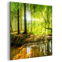METALLBILD Wald - Landschaft - Wasser - Bäume - Sonne - Grün - Natur 90x90 cm - Grün, Metall (90/90cm) - MuchoWow