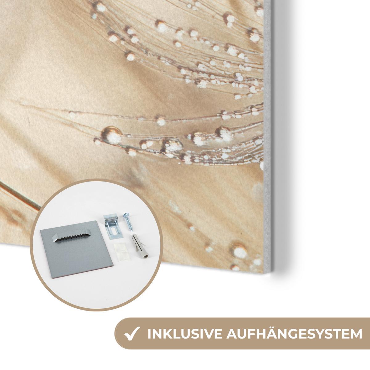 AKUSTIKBILD Löwenzahn - Abstrakt - Natur - Beige Kunstdruck Schlafzimmer 50x70 cm - Braun, Kunststoff (50/70/0.9cm) - MuchoWow