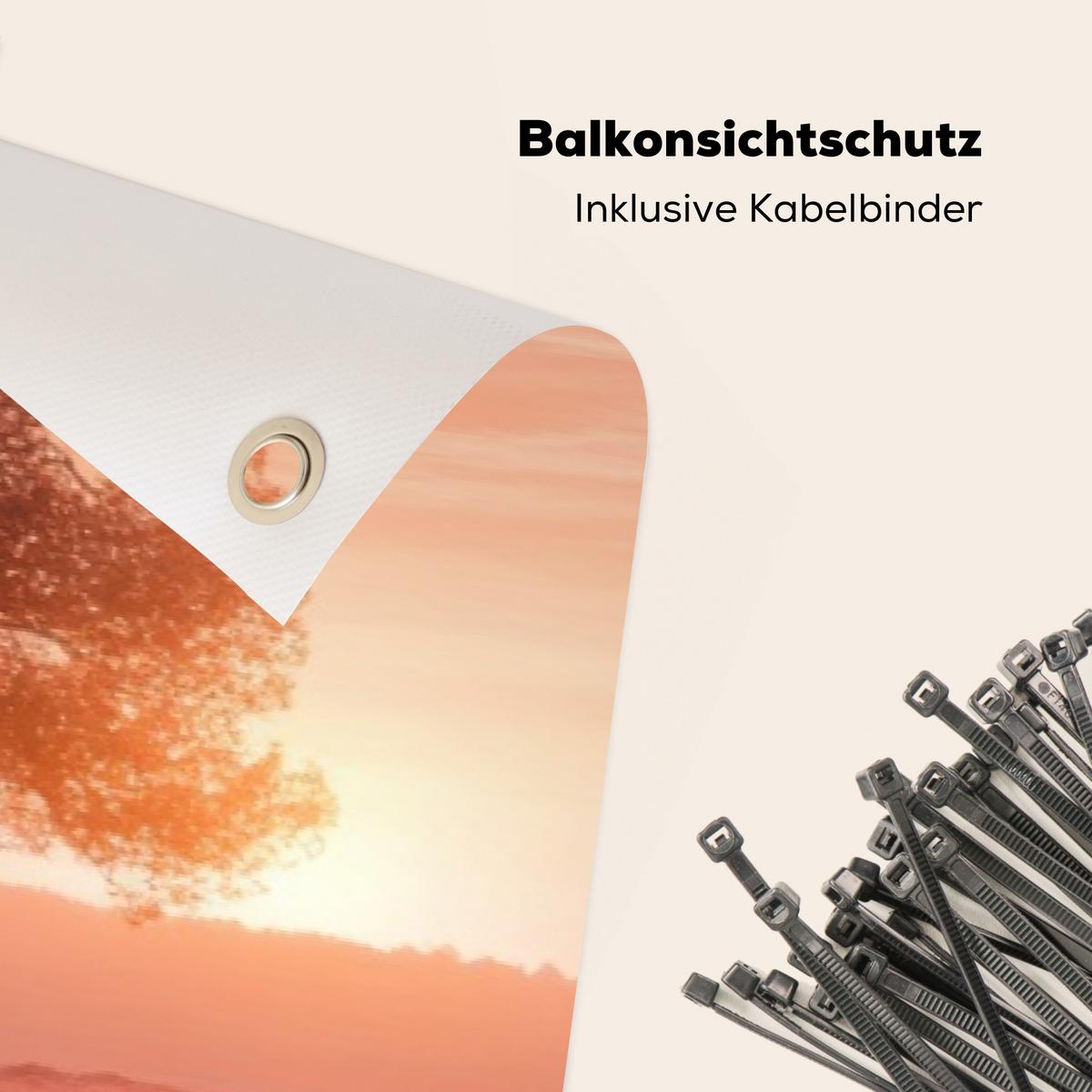 BALKON-SICHTSCHUTZ Baum - Heidekraut - Sonnenaufgang Windschutz 300x90 cm - Flieder, Kunststoff (300/90cm) - MuchoWow