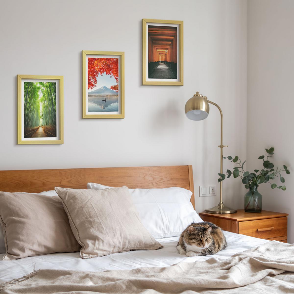 BILDER SET 3er Set - 20x30 cm Goldrahmen - Fuji-Bambuswaldlandschaft - Goldfarben, Kunststoff (20/30cm) - TULUP