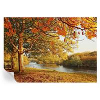 FOTOTAPETE 312x219 cm - Küstenherbst - Gelb, Textil (312/219cm) - Wallfluent