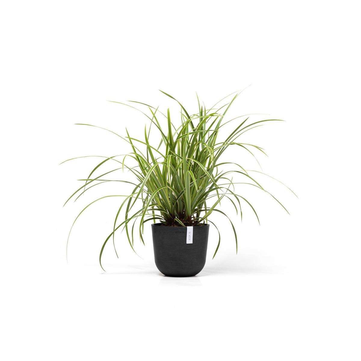 BLUMENTOPF Oslo Mini 19/16,5 cm Dunkelgrau - Dunkelgrau, Kunststoff (19/16.5cm) - Ecopots