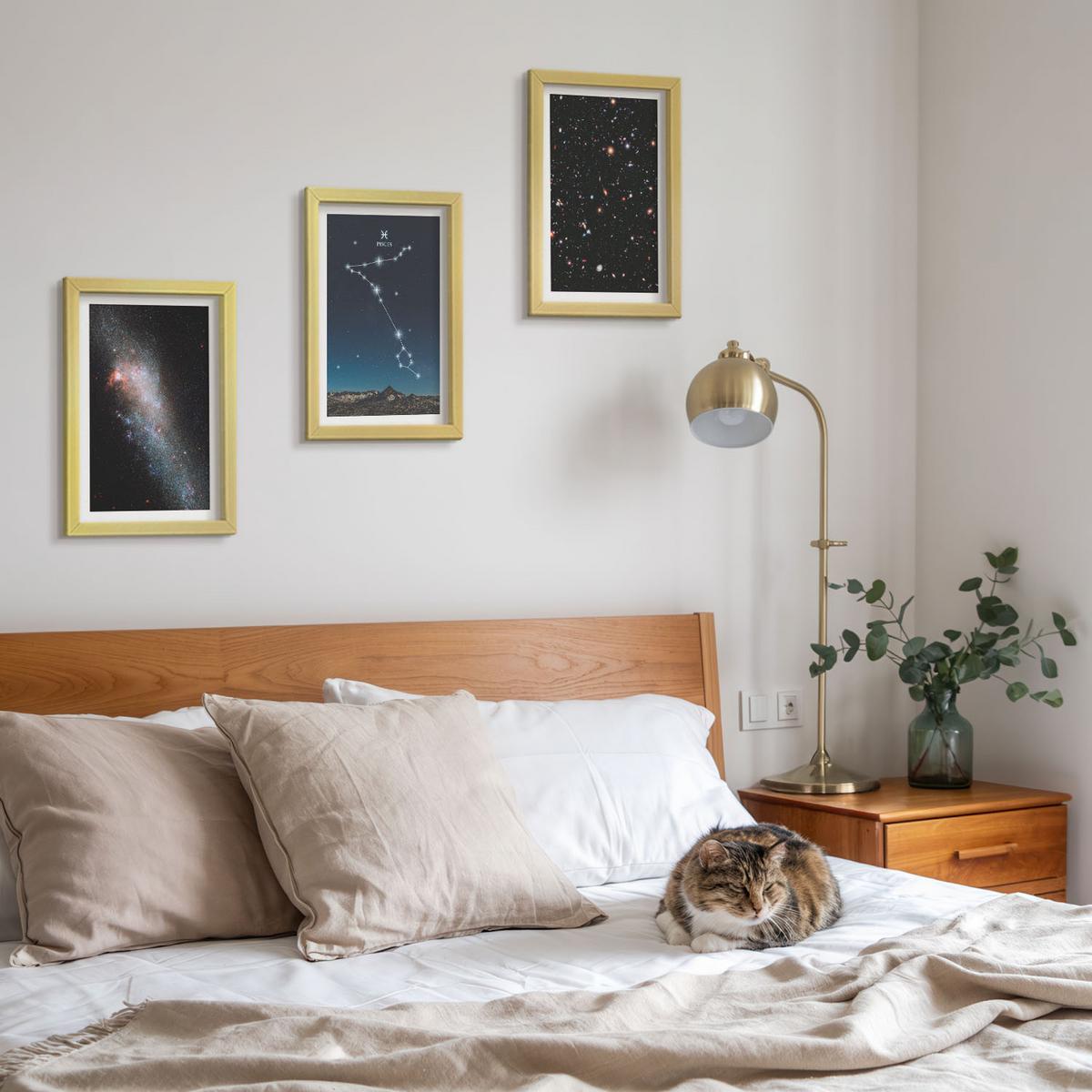 BILDER SET 3er Set - 20x30 cm Goldrahmen - Die kosmischen Landschaften der Fische-Galaxie - Goldfarben, Kunststoff (20/30cm) - TULUP