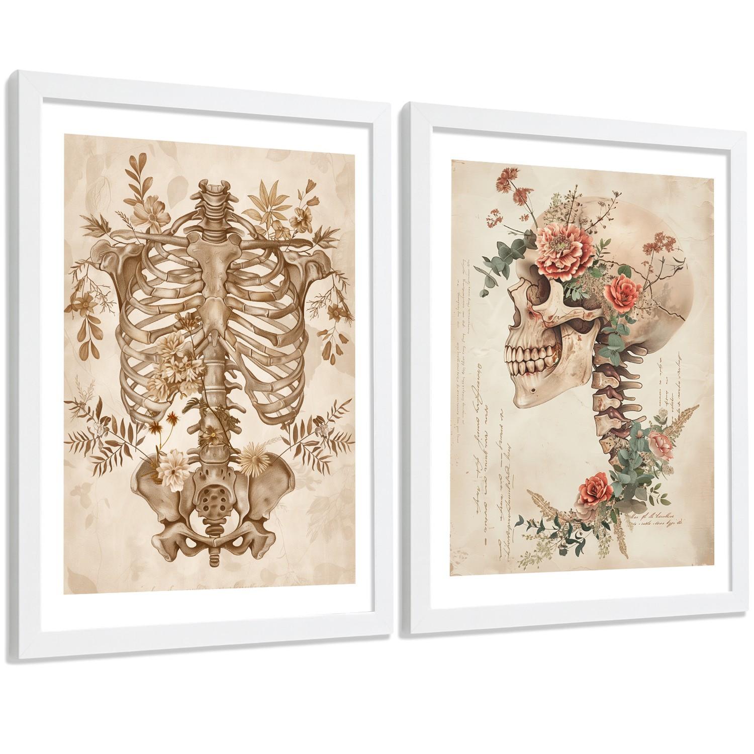 POSTER Set aus 2 Anatomie Mensch Drucke und Wandbilder mit Skelett Schädel Wirbelsäule Rippen Becken Klassischer Stil Größe Weißer Rahmen A4 - Weiß, Papier (21/29.7/3cm) - Nacnic