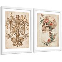 POSTER Set aus 2 Anatomie Mensch Drucke und Wandbilder mit Skelett Schädel Wirbelsäule Rippen Becken Klassischer Stil Größe Weißer Rahmen A3 - Weiß, Papier (29.7/42/3cm) - Nacnic