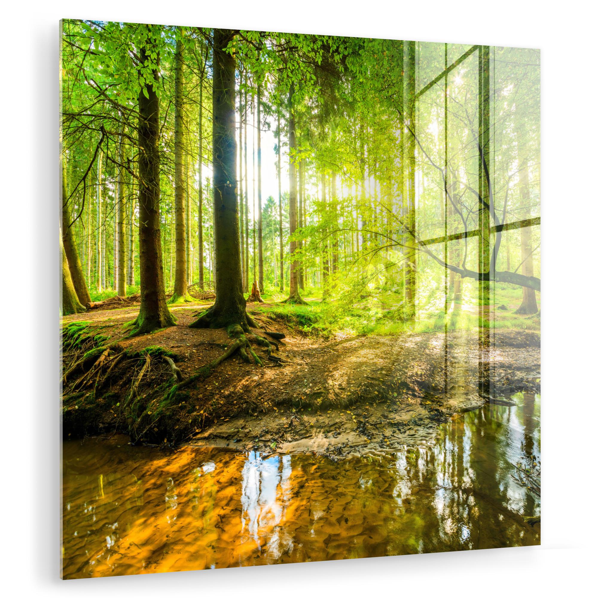 ACRYLGLASBILD Wald - Landschaft - Wasser - Bäume - Sonne - Grün - Natur 50x50 cm - Grün, Glas (50/50cm) - MuchoWow