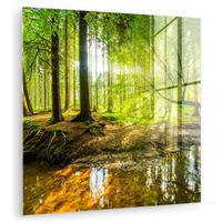 ACRYLGLASBILD Wald - Landschaft - Wasser - Bäume - Sonne - Grün - Natur 50x50 cm - Grün, Glas (50/50cm) - MuchoWow