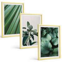 BILDER SET 3er Set - 40x60 cm Goldrahmen - Ästhetische tropische Blätter - Goldfarben, Kunststoff (40/60cm) - TULUP