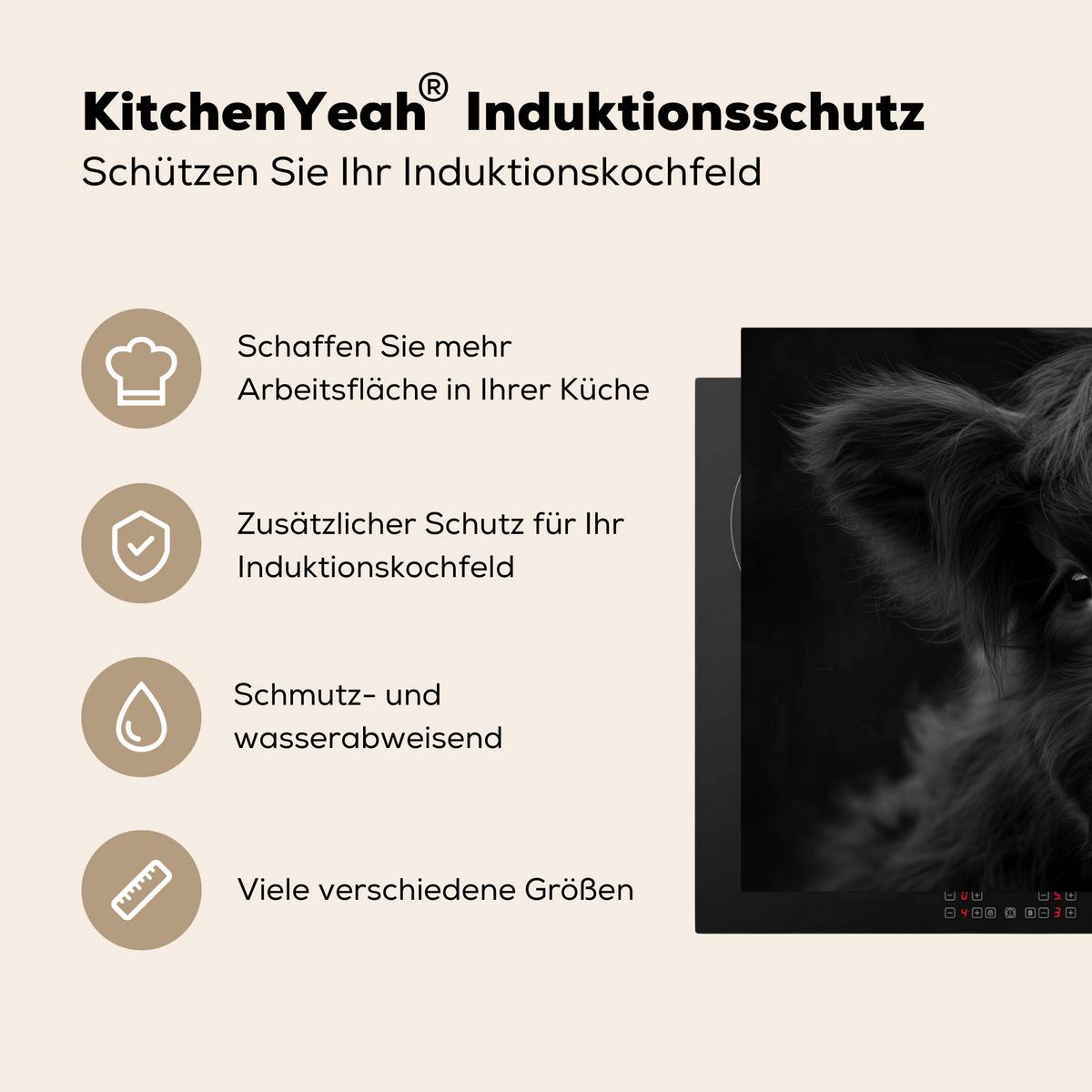 HERDABDECKPLATTE Scottish Highlander - Schwarz - Kalb - Kuh Induktionsschutz 91.6x52.7 cm - Schwarz, Kunststoff (91.6/52.7/0.2cm) - MuchoWow