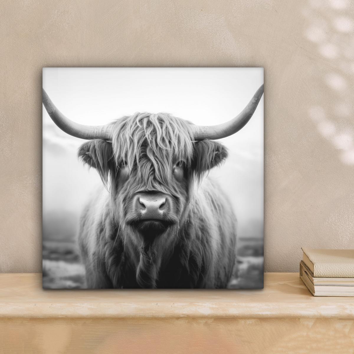 LEINWANDBILD Schottischer Highlander - Nebel - Schwarz - Weiß Deko Wohnzimmer 20x20 cm - Grau, Textil (20/20cm) - MuchoWow